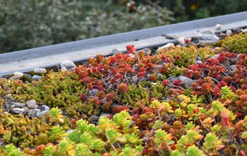 the cost of Bodden green roof installation