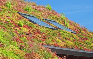 Bodden living roof systems